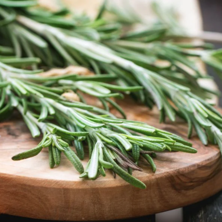 ROSEMARY - Rosmarinus Officinalis